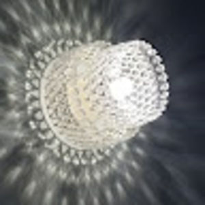 Meet your Posher, Lily